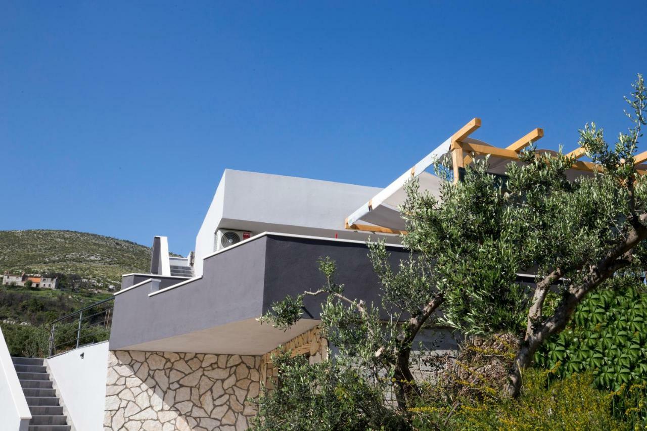 House M&a&k With Swimming Pool *